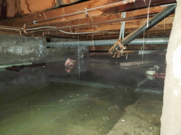 Best Sewage cleanup and water damage restoration  in Euclid, OH