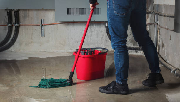 Trusted Euclid, OH Water damage restoration Experts