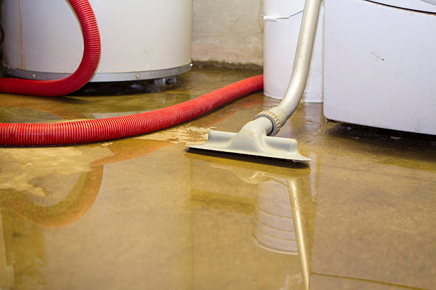 Best Water damage restoration experts  in Euclid, OH
