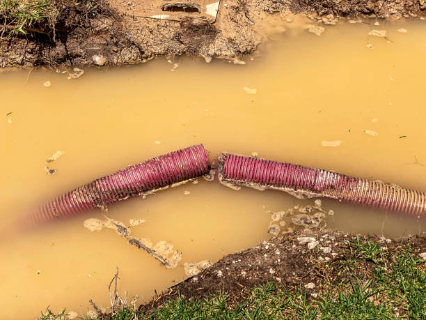 Water damage restoration experts in Euclid, OH